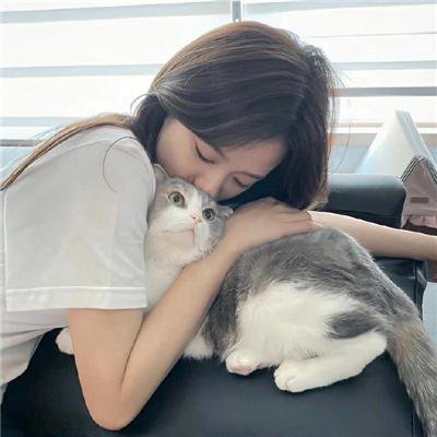 街头女斗士2:全球日志